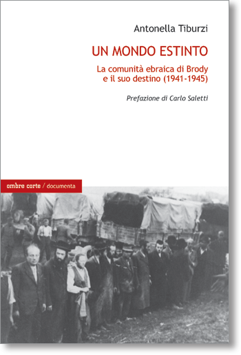 Immagine copertina libro